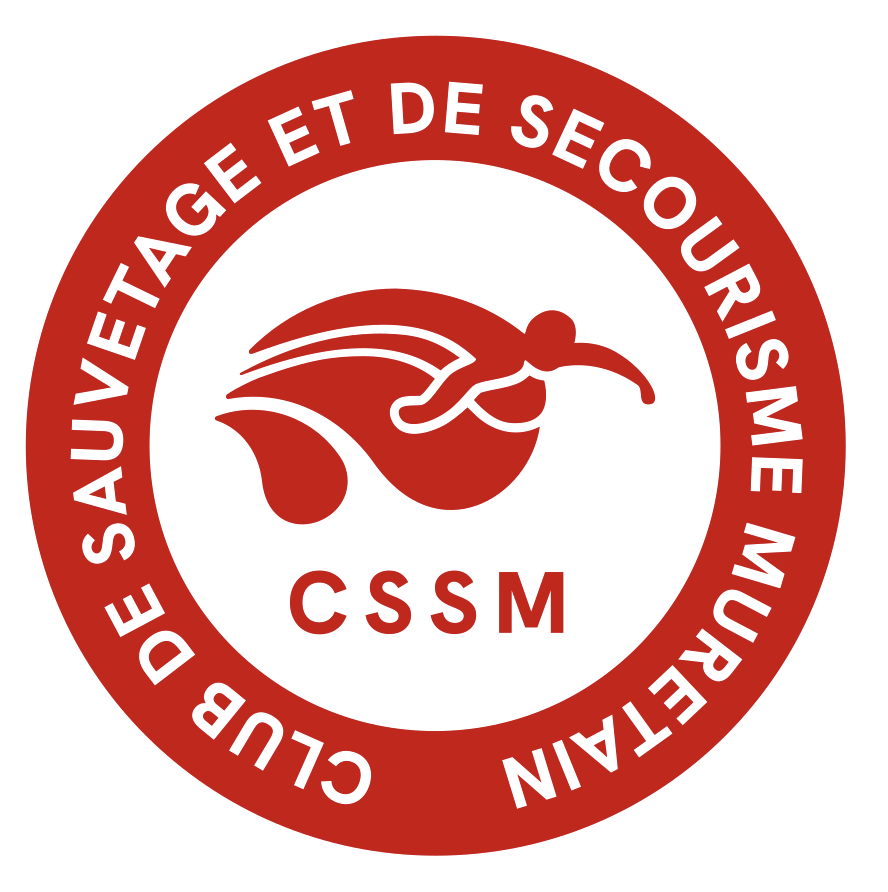 BNSSA : Arrêté du 29 juillet 2026