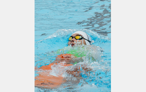 5a22719bc92e5_dsc8404227918084076o.jpg