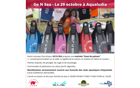 Démonstration des palmes Go'N'Sea le 29 octobre