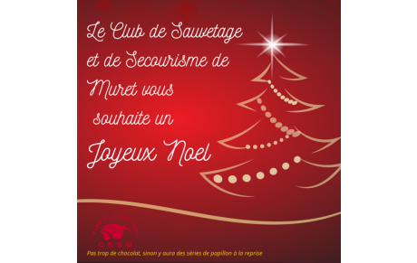 Joyeux Noel !