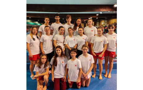 Championnat régional d'Occitanie